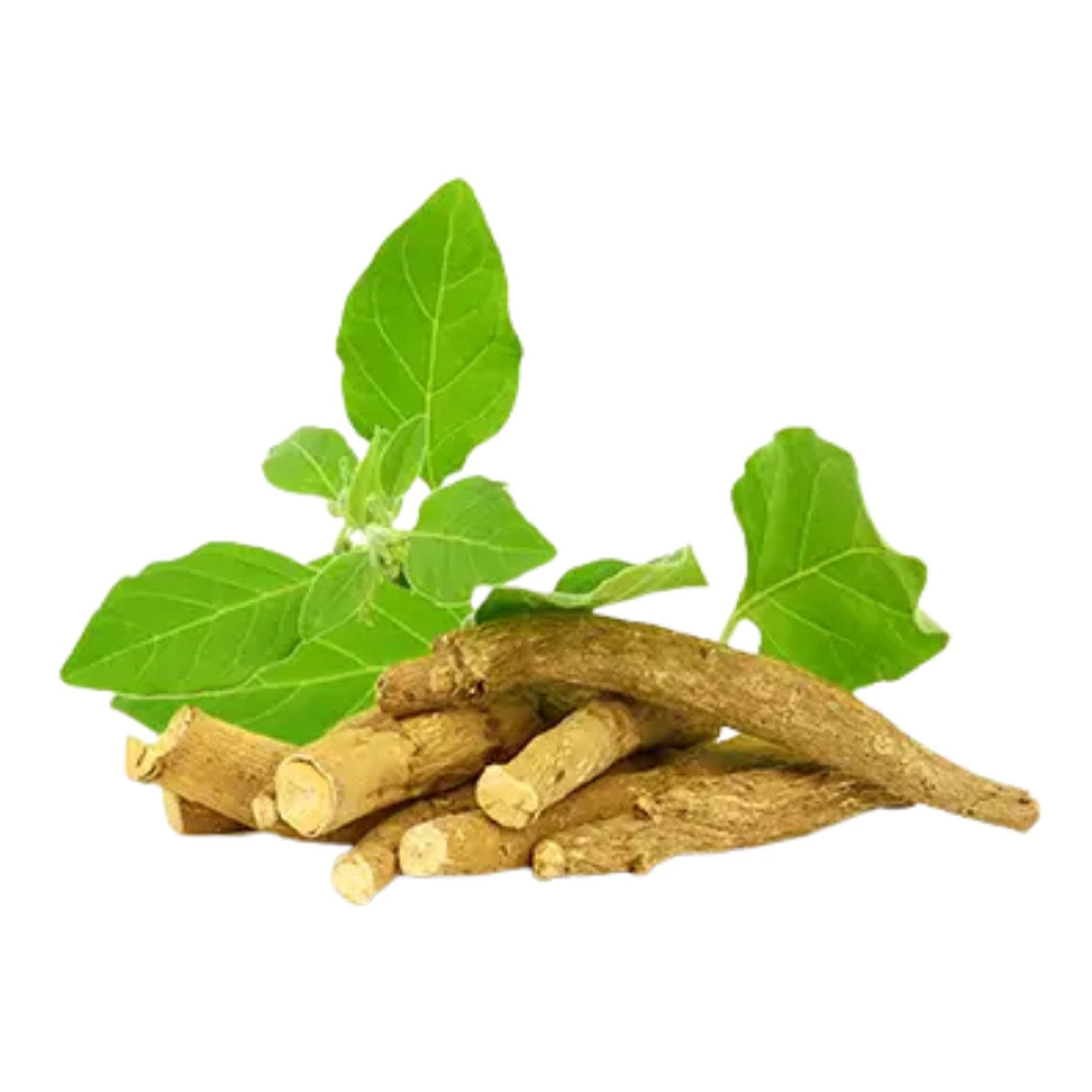 Ashwagandha roots and leaves