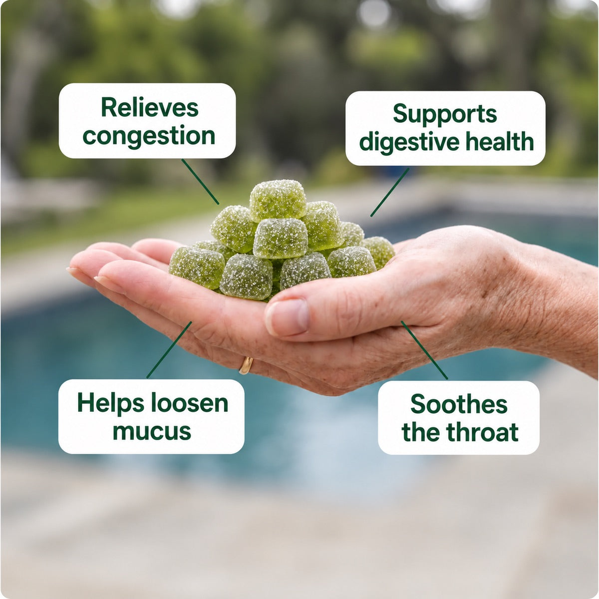Avenor Sea Moss Gummies among green leaves