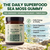 Sea Moss 16-In-1 Gummies - For Blood Pressure Balance & Heart Health