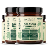 Avenor Sea Moss Gummies multi jar bundle, 90 day supply