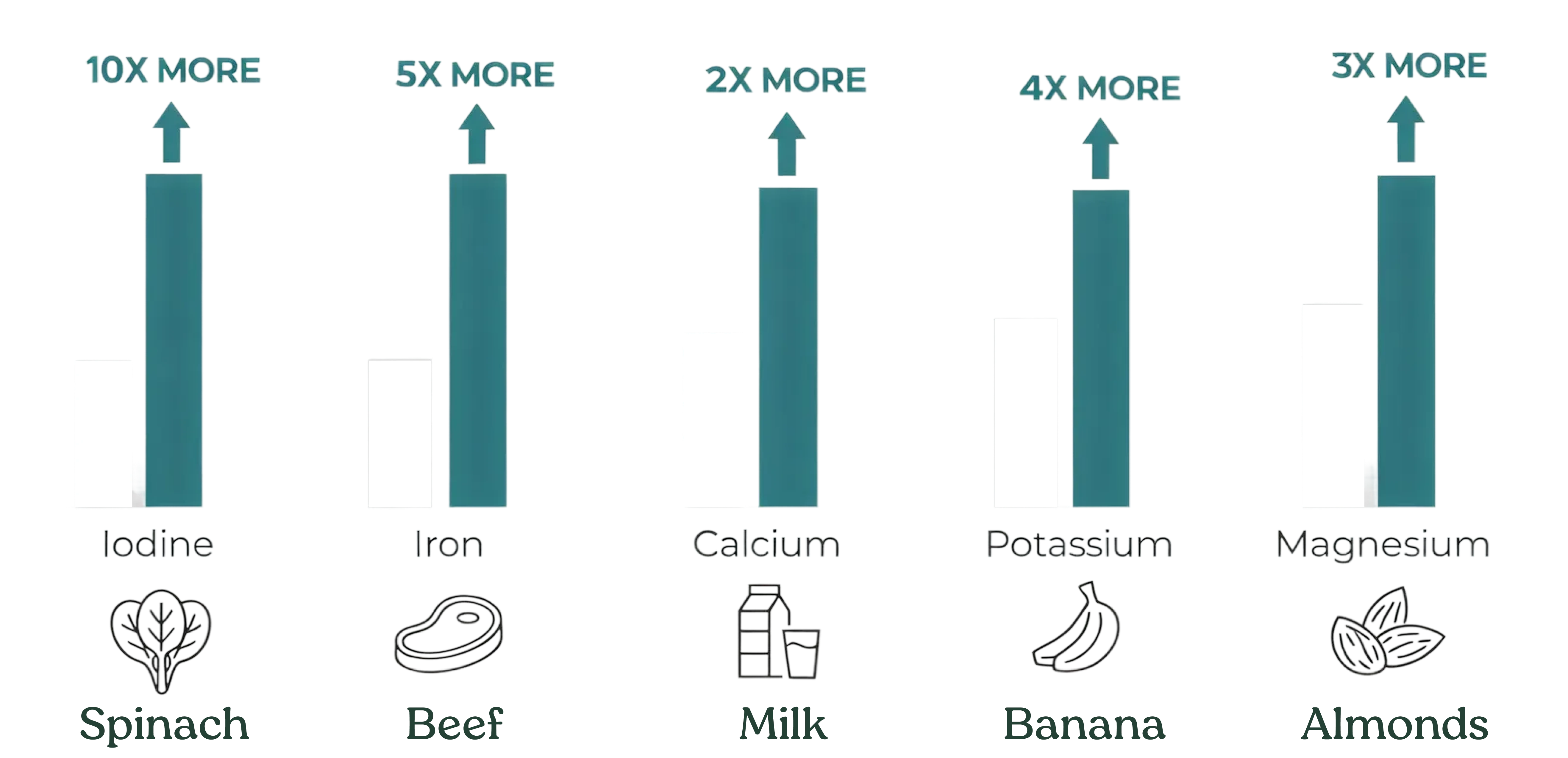 Sea moss mineral content compared with common foods