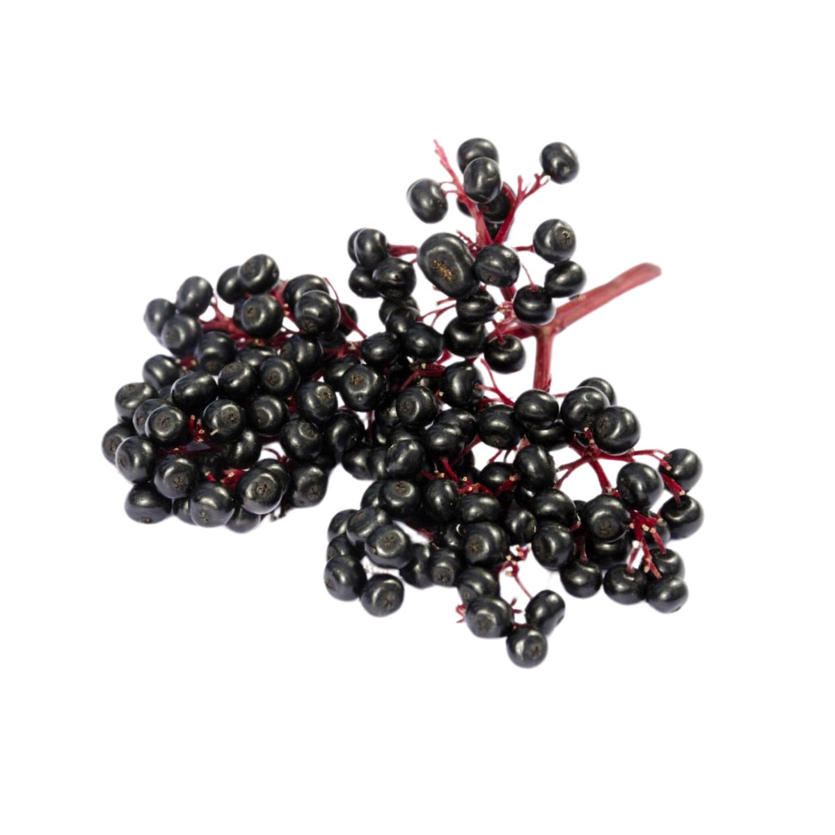 Elderberrybeeren