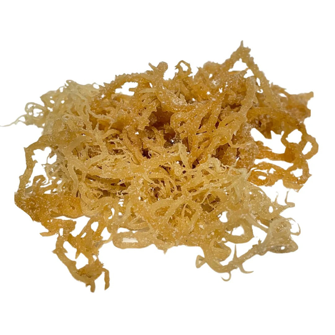 Dried sea moss